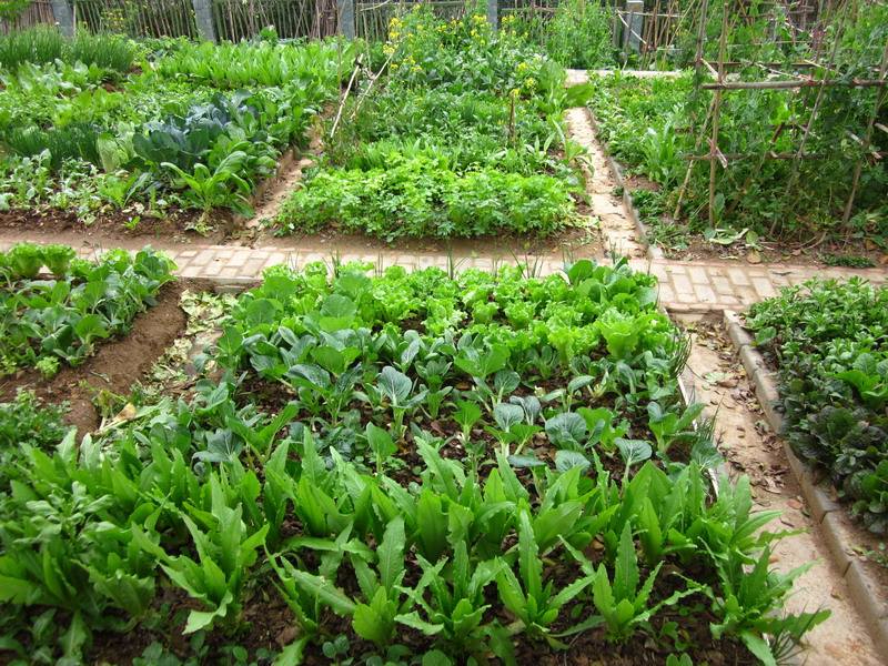 九游体育官方网站案例展示五