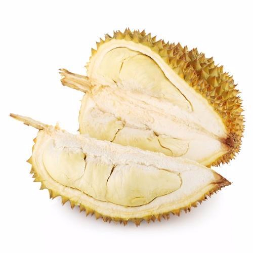 九游体育官方网站产品名称二